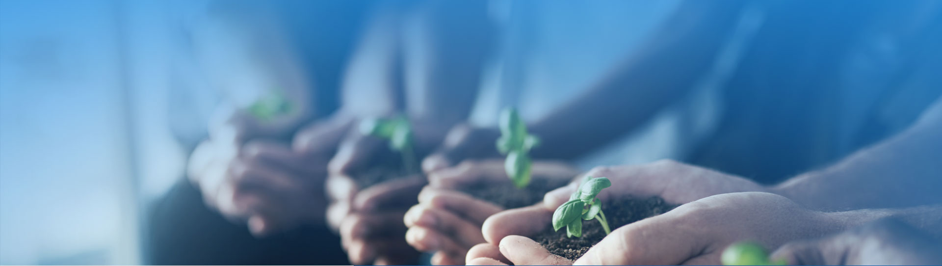 28圈(中国游)官网注册 -APP下载